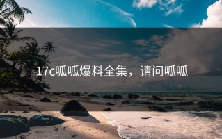 17c呱呱爆料全集，请问呱呱