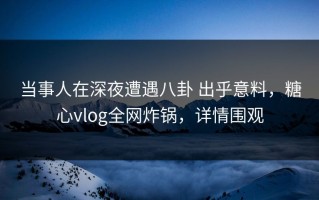 当事人在深夜遭遇八卦 出乎意料，糖心vlog全网炸锅，详情围观