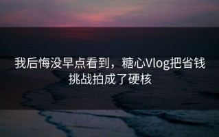 我后悔没早点看到，糖心Vlog把省钱挑战拍成了硬核