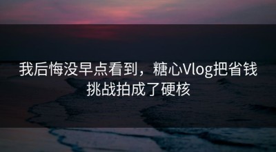 我后悔没早点看到，糖心Vlog把省钱挑战拍成了硬核