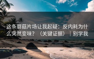 这条蘑菇片场让我起疑：反内耗为什么突然变味？（关键证据）｜别学我