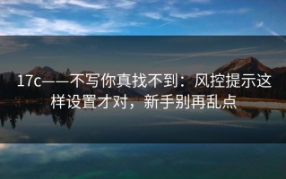 17c——不写你真找不到：风控提示这样设置才对，新手别再乱点
