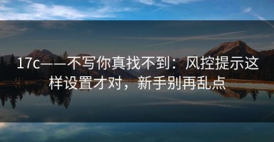 17c——不写你真找不到：风控提示这样设置才对，新手别再乱点