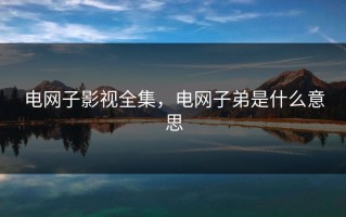 电网子影视全集，电网子弟是什么意思
